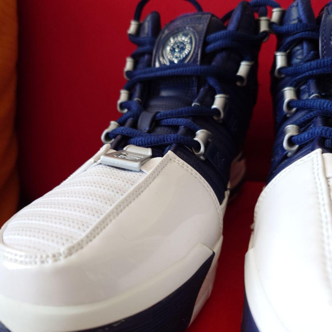 【値下げ】Nike ZOOM　LEBRON III QS 25cm