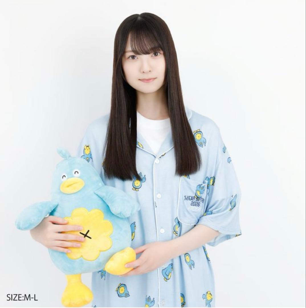7回目のひな誕祭 Tシャツセット