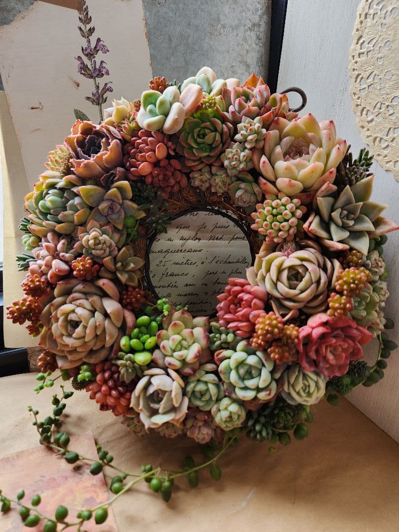 多肉植物寄せ植え　そのまま飾れる　ほんのり赤いリース:*♪