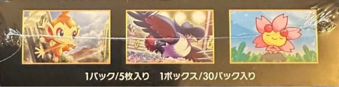 ポケモンカードゲーム ウルトラサン ボックス