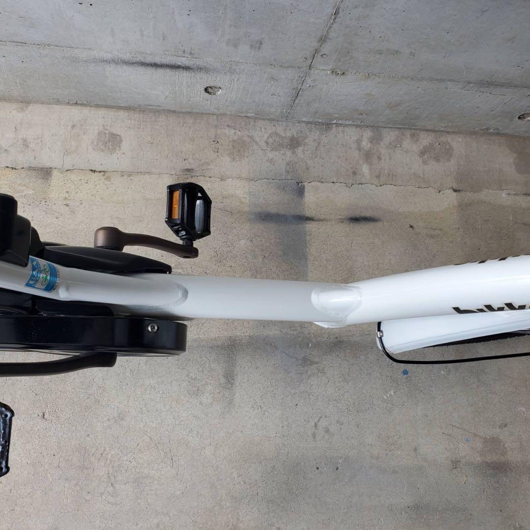BRIDGESTONE bikke POLAR e　ビッケ　ポーラー