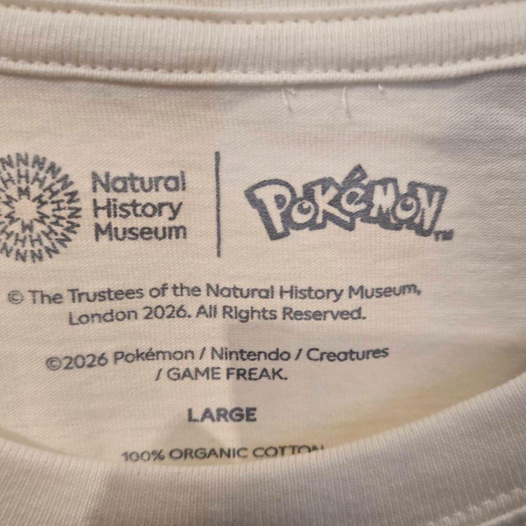 ポケモン ロンドン自然史博物館　ピカチュウ　Tシャツ　L