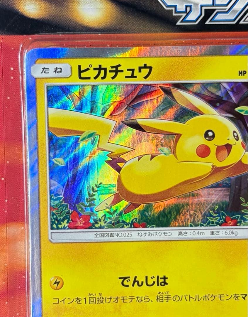 ポケモンカード　ピカチュウと新しい仲間たち　2セット
