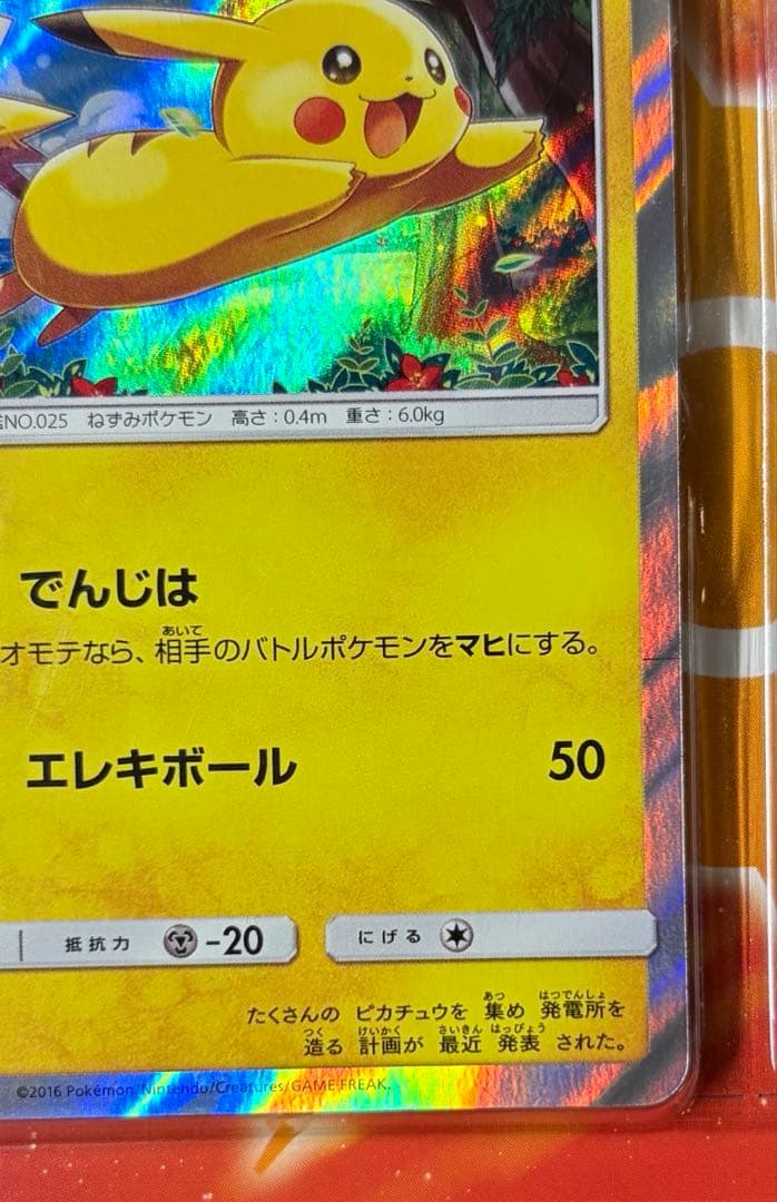 ポケモンカード　ピカチュウと新しい仲間たち　2セット