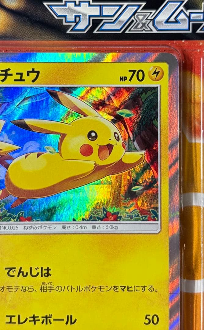 ポケモンカード　ピカチュウと新しい仲間たち　2セット