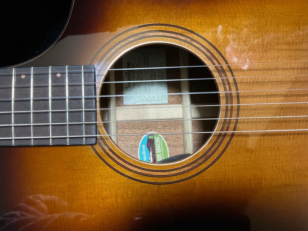 Breedlove Solo Pro Concert CE エレガット