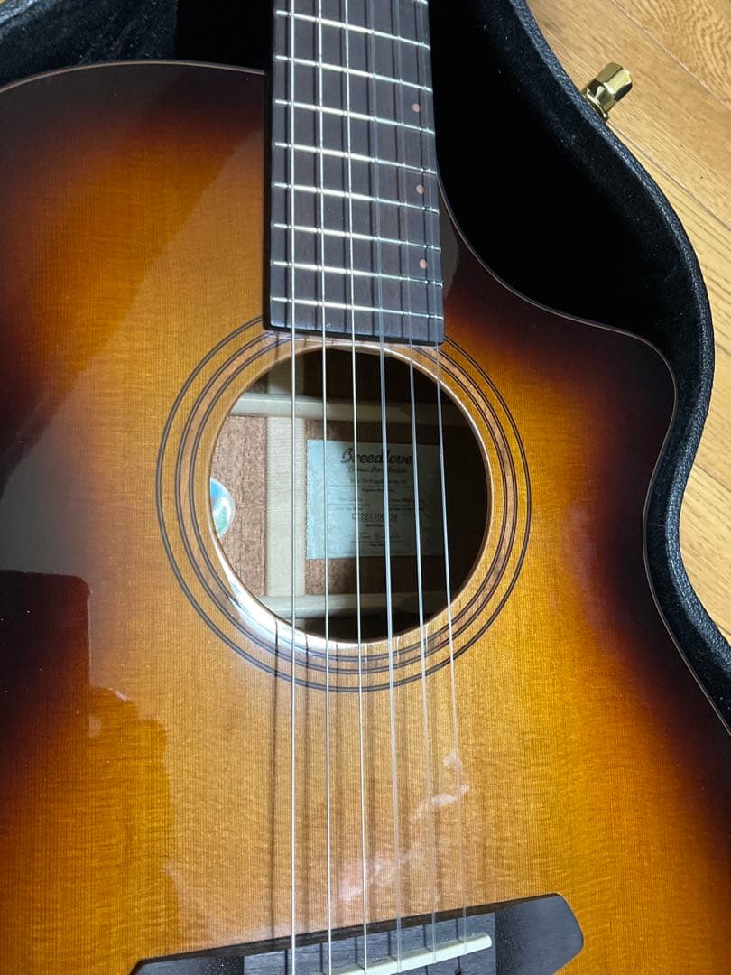 Breedlove Solo Pro Concert CE エレガット