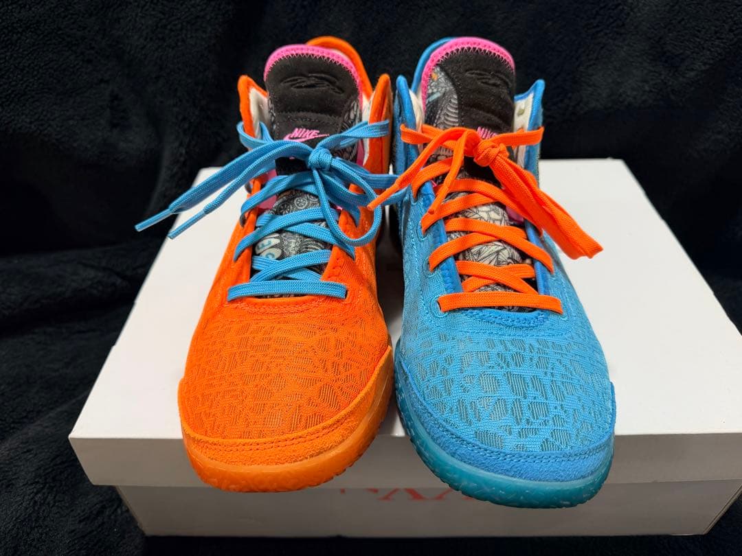 シューズ(男性用) NIKE Zoom Lebron NXXT Gen 29cm