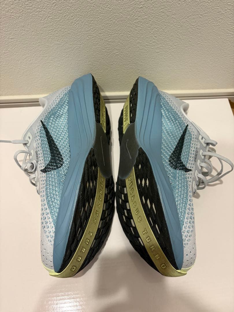 NIKE Pegasus Plus (ナイキ ペガサスプラス) 28cm