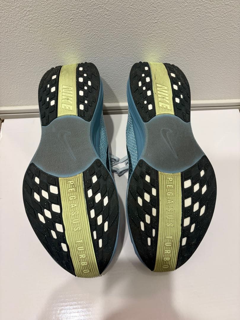 NIKE Pegasus Plus (ナイキ ペガサスプラス) 28cm