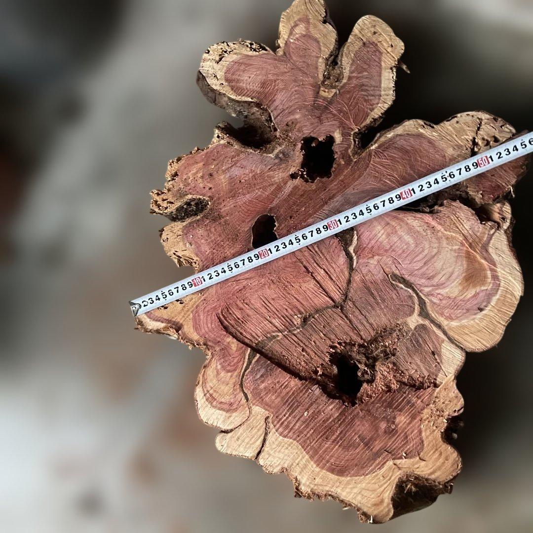 香りの良いこの作品！超希少貝塚伊吹長さ最大73cm最小60cm厚さ約13cm