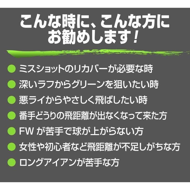 新品 お得な2本セット　ダイナミクスUT 三菱ケミカル製 飛匠シャフト仕様