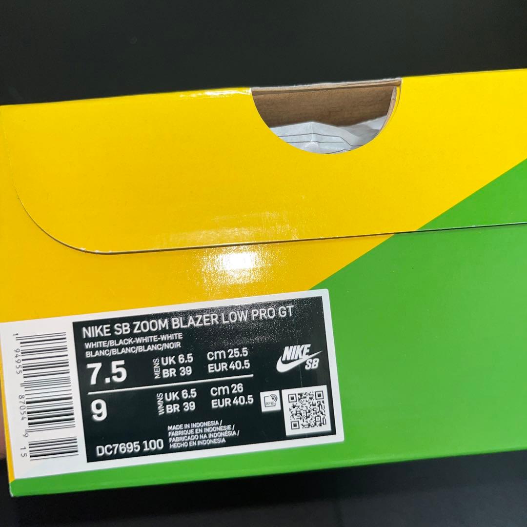 Nike SB GT スケートシューズ ホワイト/ブラック