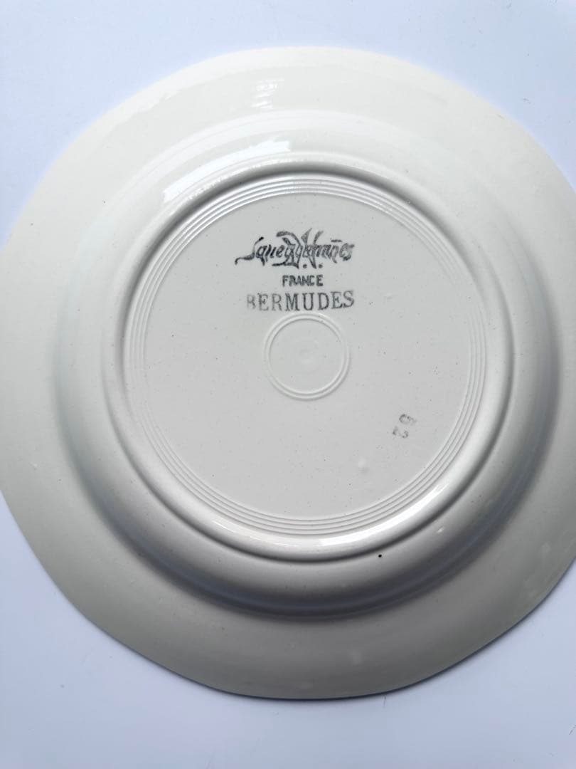 sarreguemines サルグミンヌ　Bermudes　深皿　スーププレート