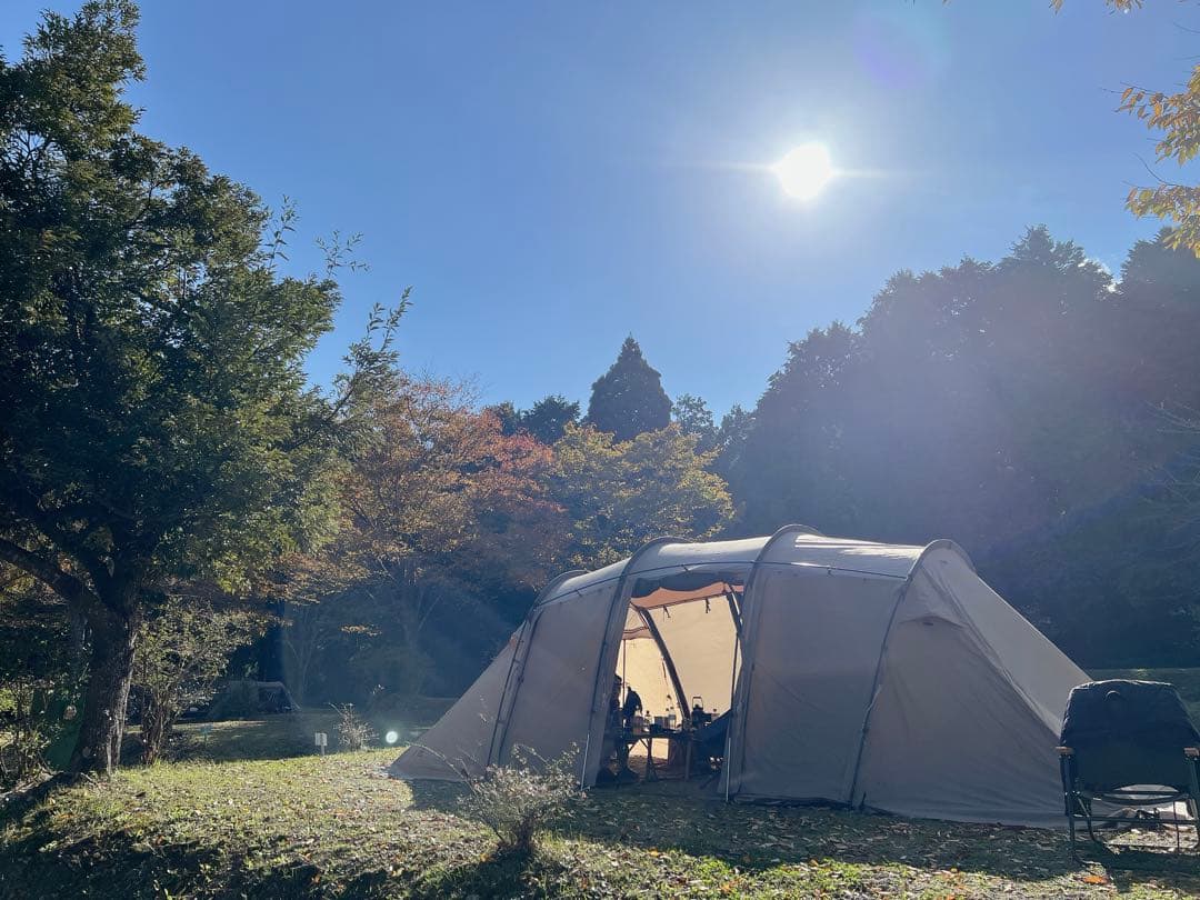 サバティカル アルニカ sabbatical ARNICA