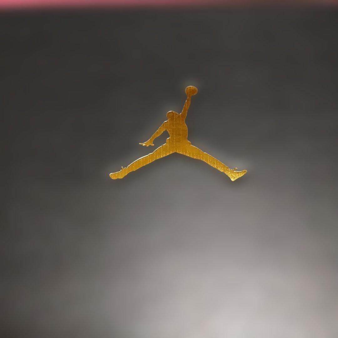 今だけ値下 ナイキ NIKE JORDAN ACCESS 26.0cm