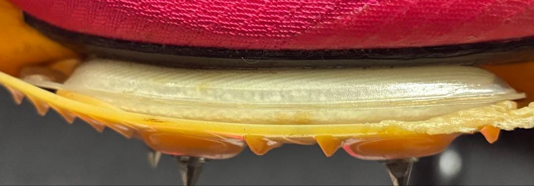 Nike エアズーム マックスフライ1 ピンク【26.5cm】maxfly