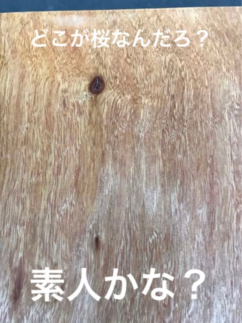 [即購入OK] 椨(タブ) 耳付き一枚板　テーブル天板　無垢材　新品未使用