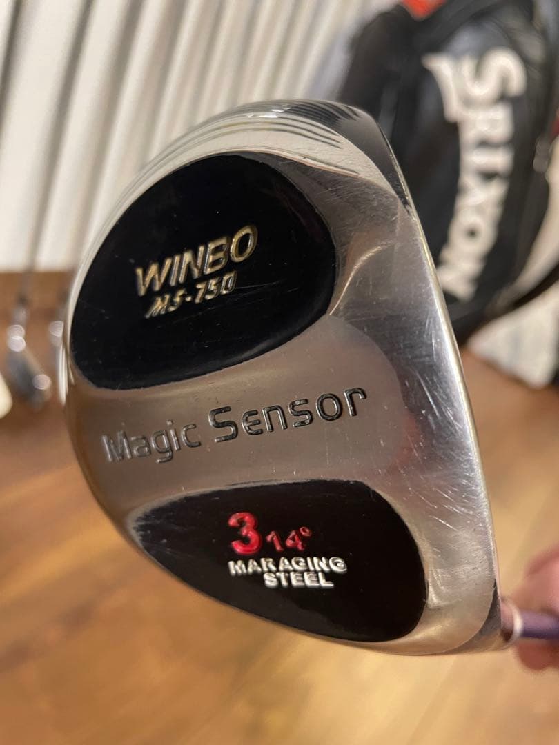 TaylorMade RBZ ゴルフクラブセット メンズ スリクソンバッグ 名器