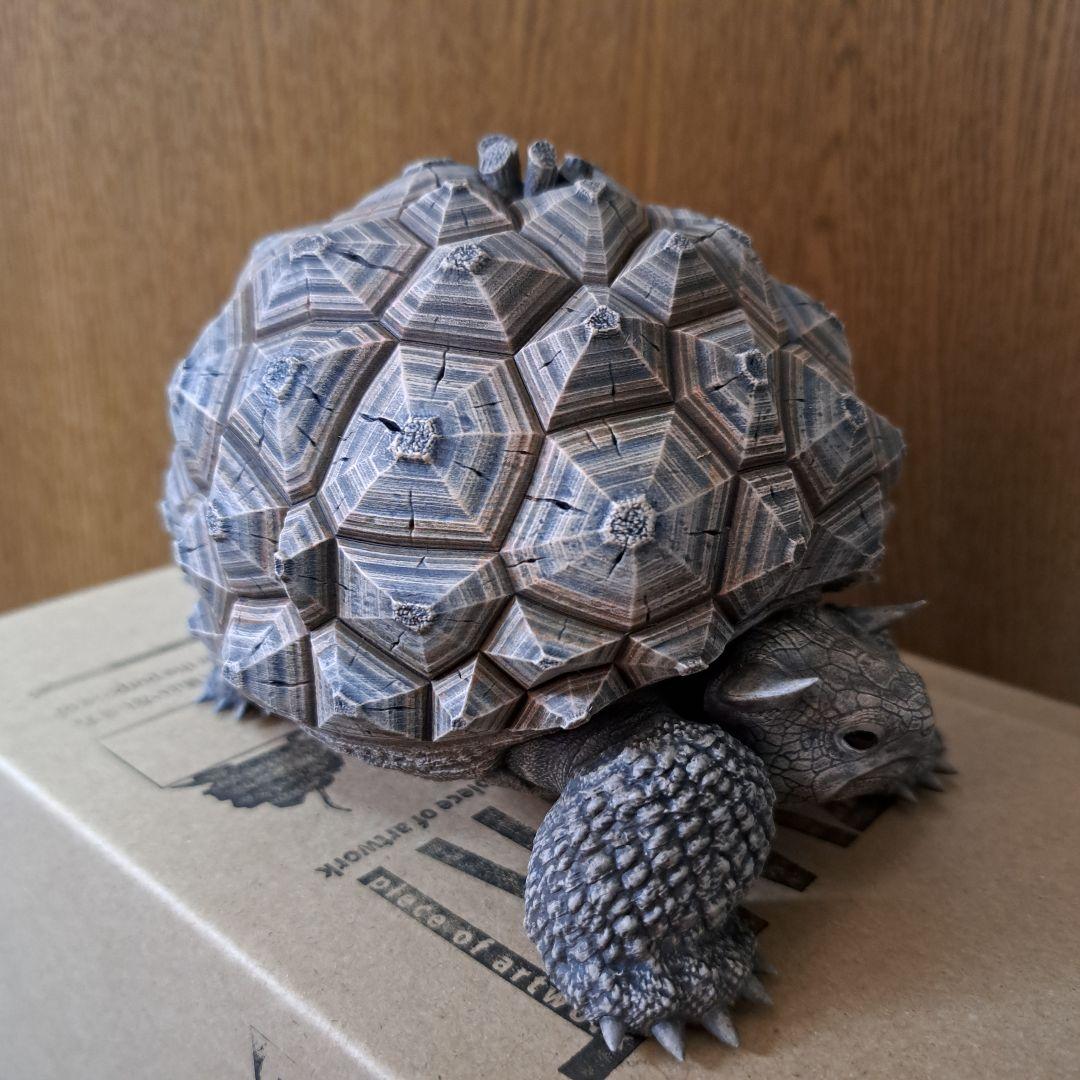 その他 ozwrt Dioscorea Nasutoceratops