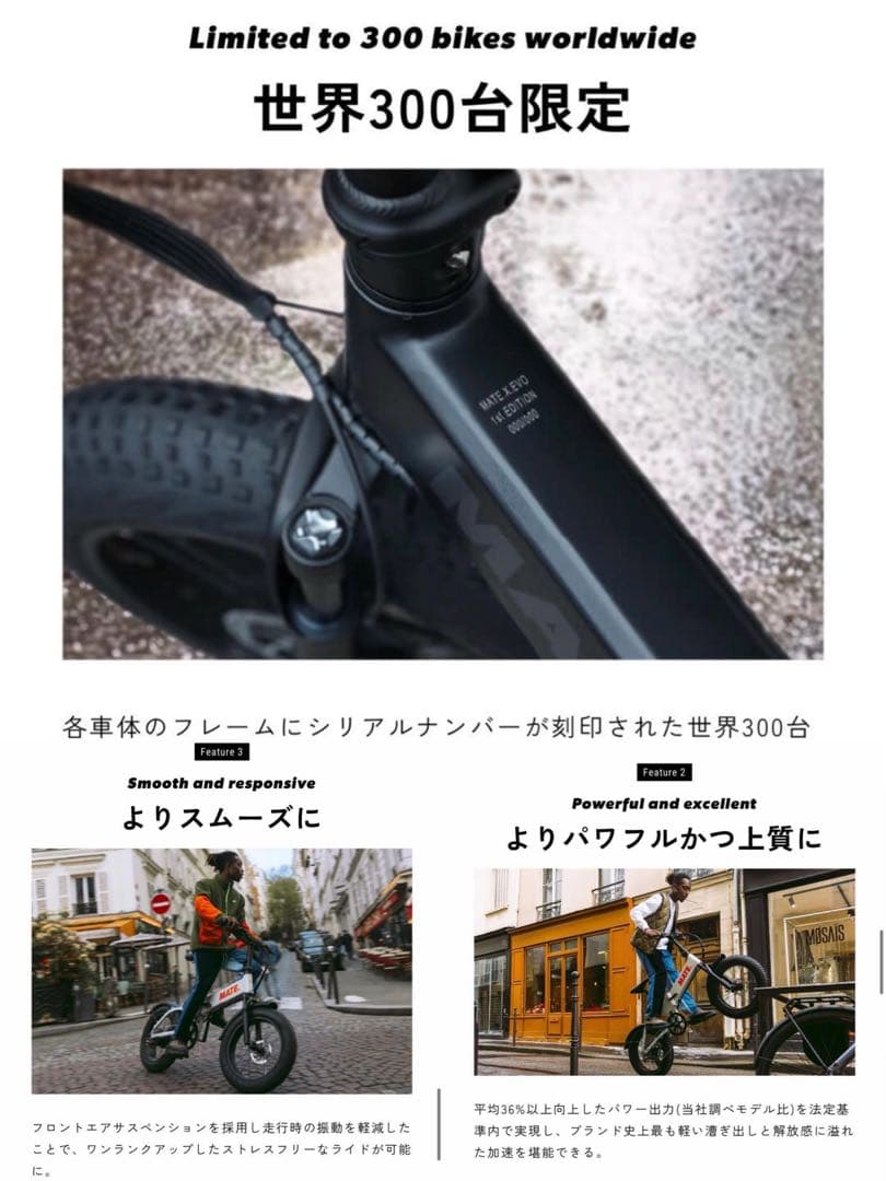 【世界300台限定】 MATE X EVO 配達無料地域あり　MATEBIKE
