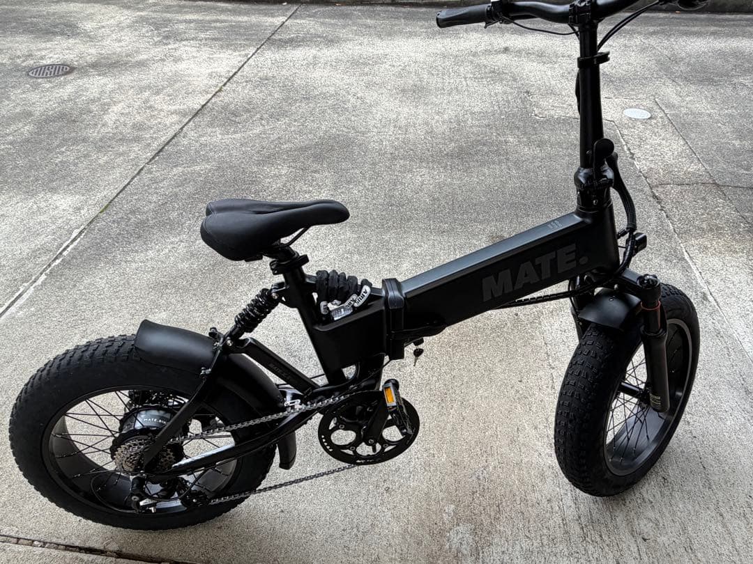 【世界300台限定】 MATE X EVO 配達無料地域あり　MATEBIKE