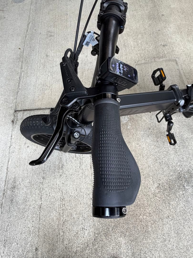 【世界300台限定】 MATE X EVO 配達無料地域あり　MATEBIKE