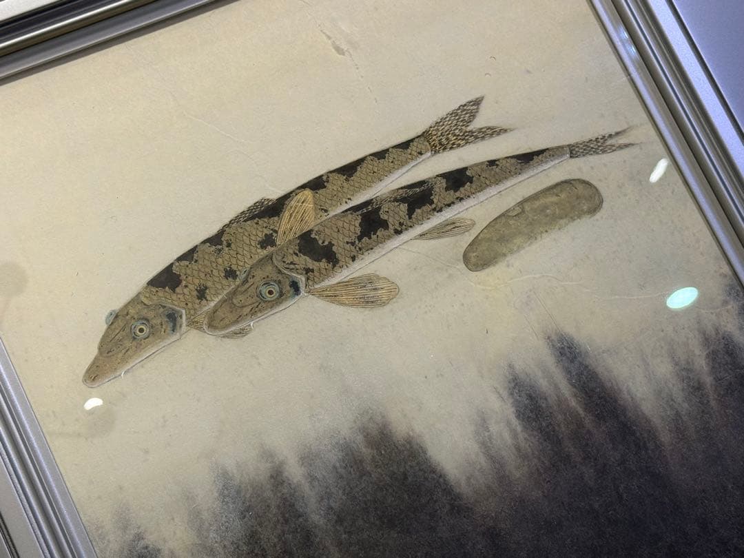 磯部茂樹 絵画 代表作≪ かまつか ≫日本画　湖魚