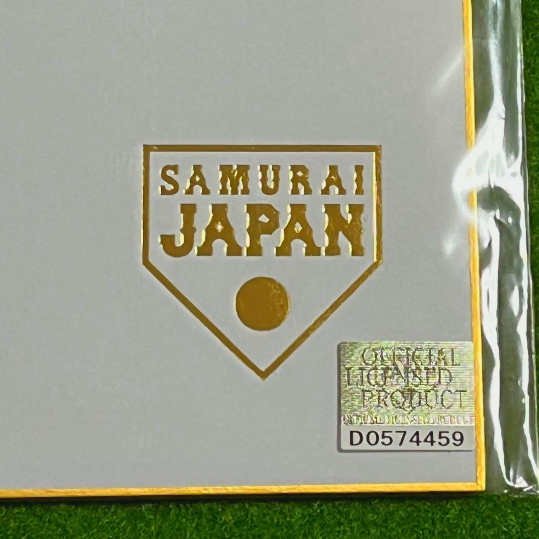 ダルビッシュ有 サイン色紙 侍ジャパン WBC 2026宮崎キャンプ