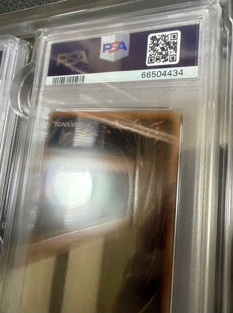 遊戯王　初期　レッドアイズブラックメタルドラゴン　シークレット　PSA7