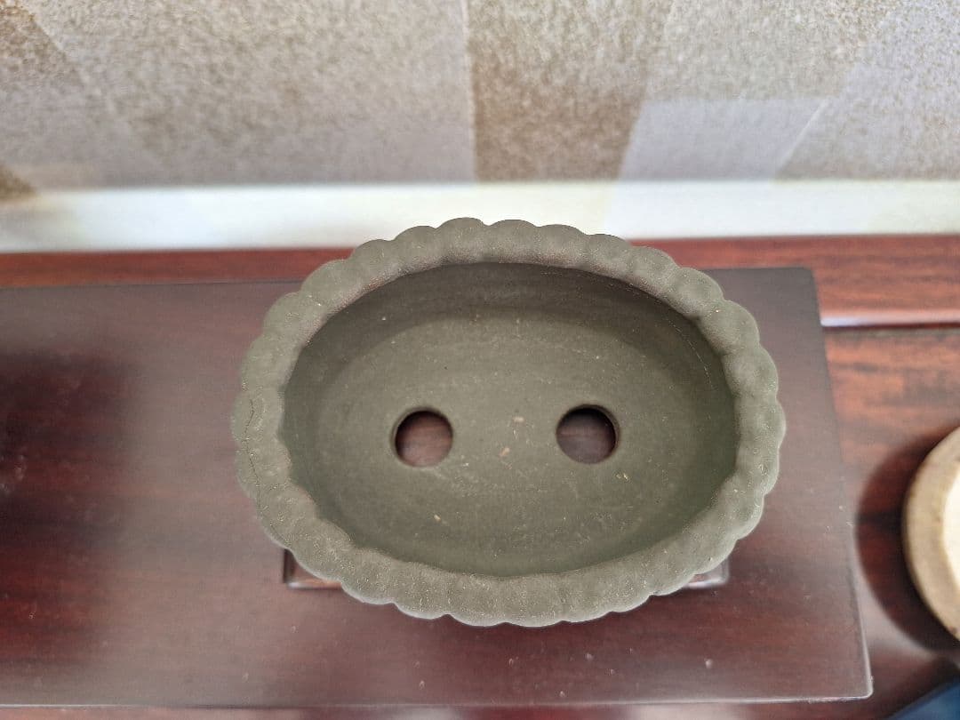 陶翠　黒泥竹紋額入色絵楕円　ミニ盆栽鉢　小品盆栽鉢　植木鉢　樹鉢　盆器　瀬戸焼