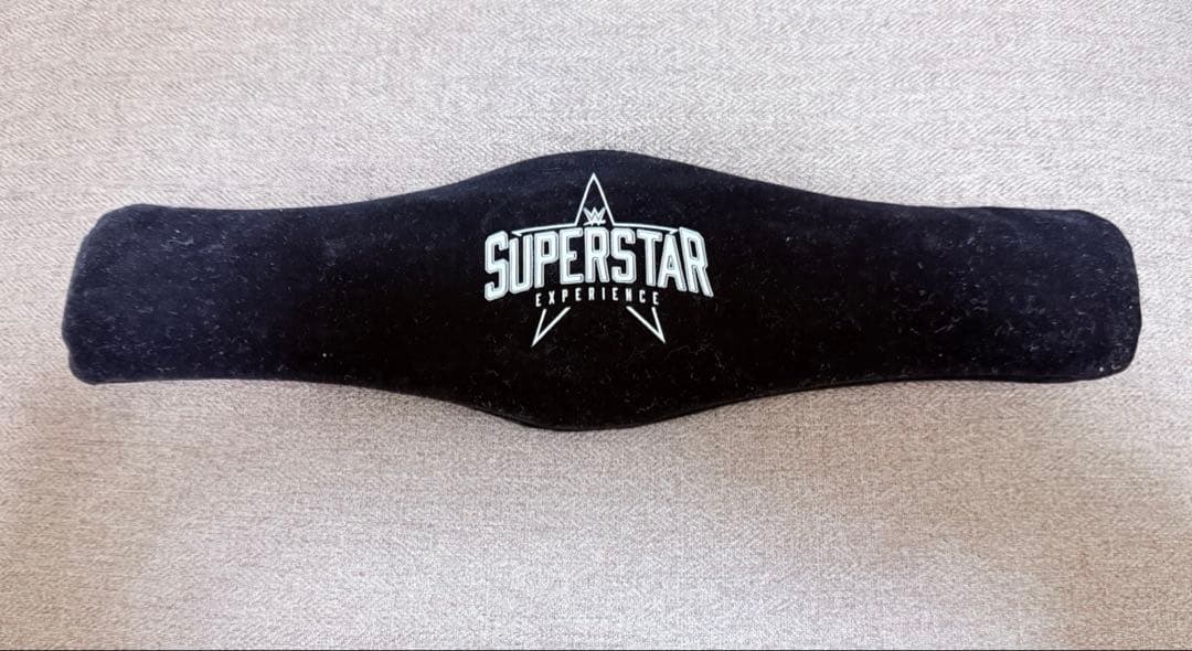 WWE サイン　ベルト　ジュリア　中邑真輔　AJスタイルズ