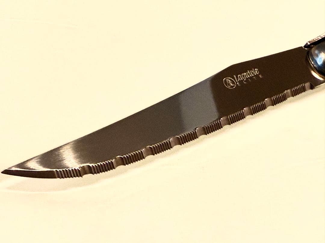 Laguiole elite カトラリーセット24本入シルバー　刻印入り5セット