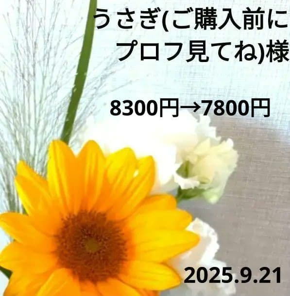 うさぎ(ご購入前にプロフ見てね)様　　 ネックレス 　イヤリング　社交ダンス