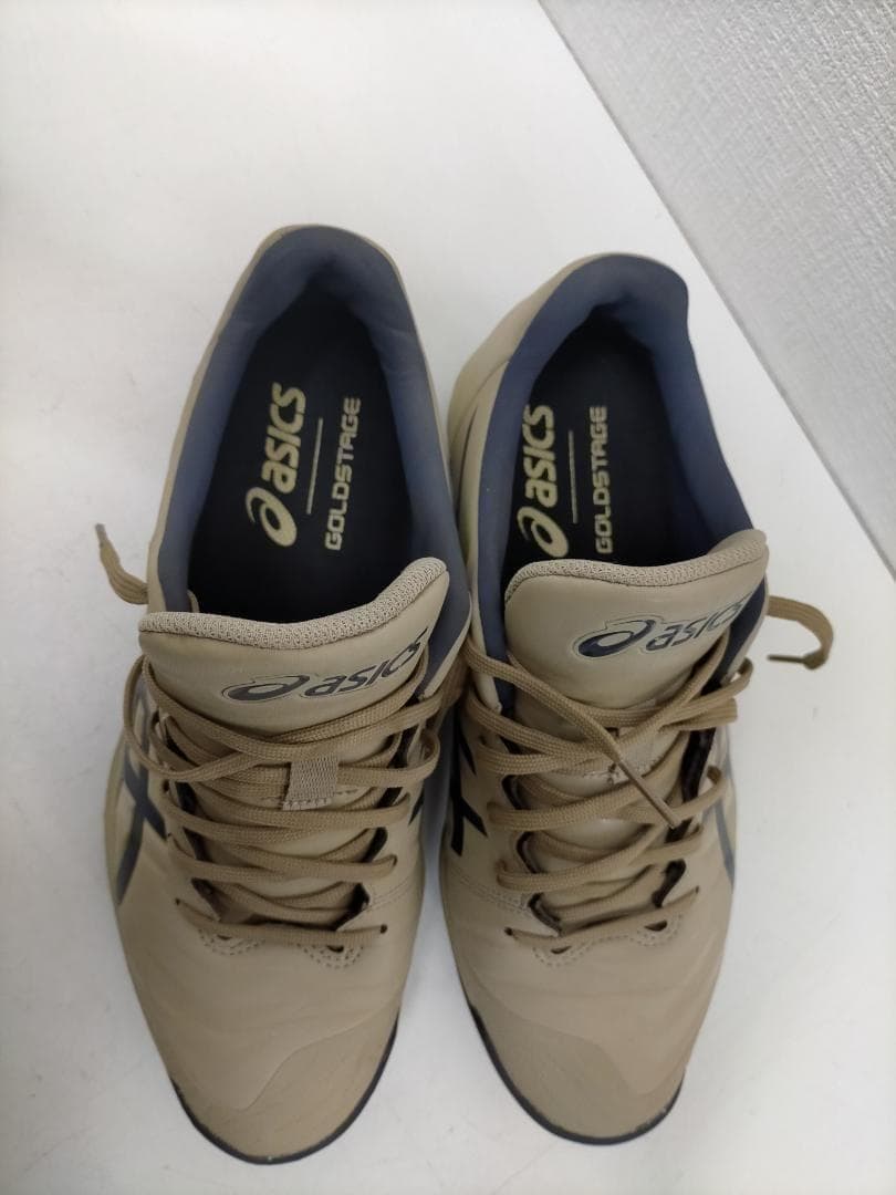 【送料無料】アシックス ゴールドステージ トレーニングシューズ 251113-5
