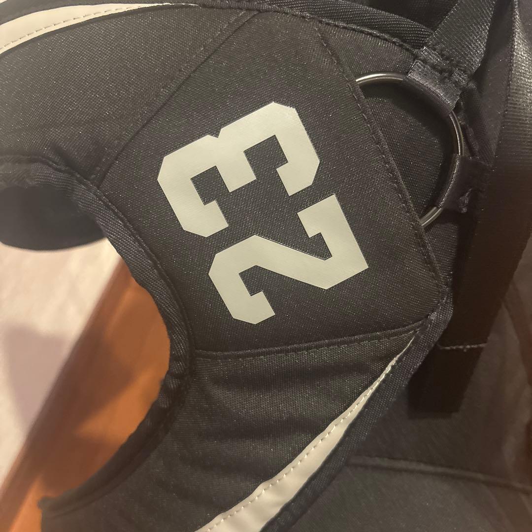 Jordan キャディバッグ