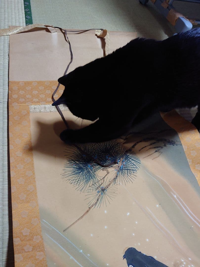 猫も気に入る鯉の滝登り　掛け軸