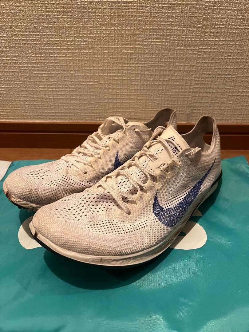 Nike ドラゴンフライ2 27cm
