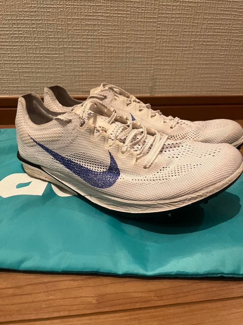 Nike ドラゴンフライ2 27cm