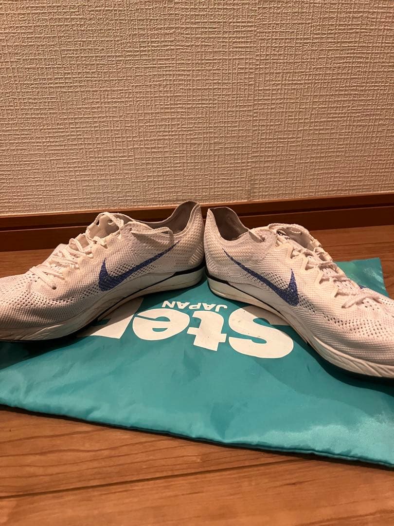 Nike ドラゴンフライ2 27cm