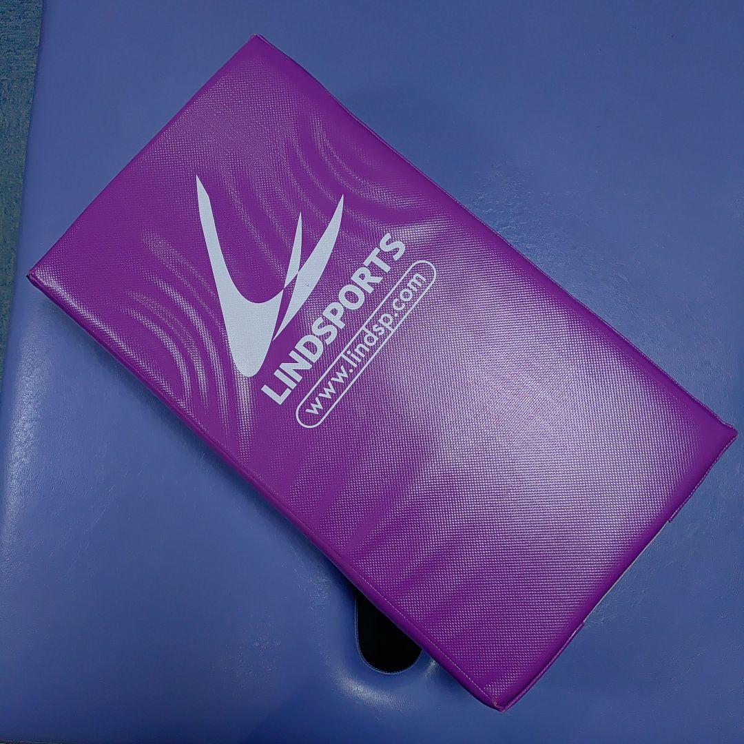 ヒットバッグ フラットタイプLINDSPORTS リンドスポーツ　紫