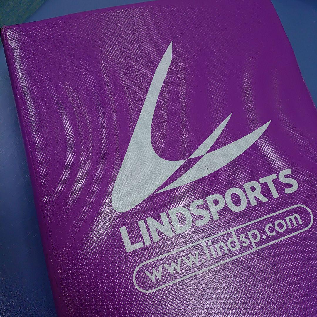 ヒットバッグ フラットタイプLINDSPORTS リンドスポーツ　紫