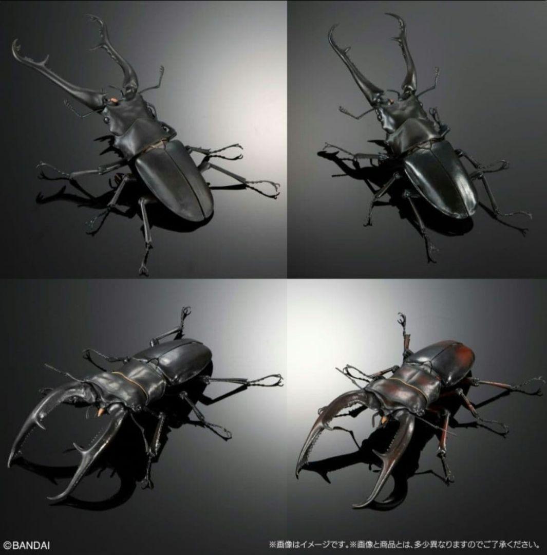 オンライン版　ギラファノコギリクワガタとマンディブラリスフタマタクワガタ　全４種