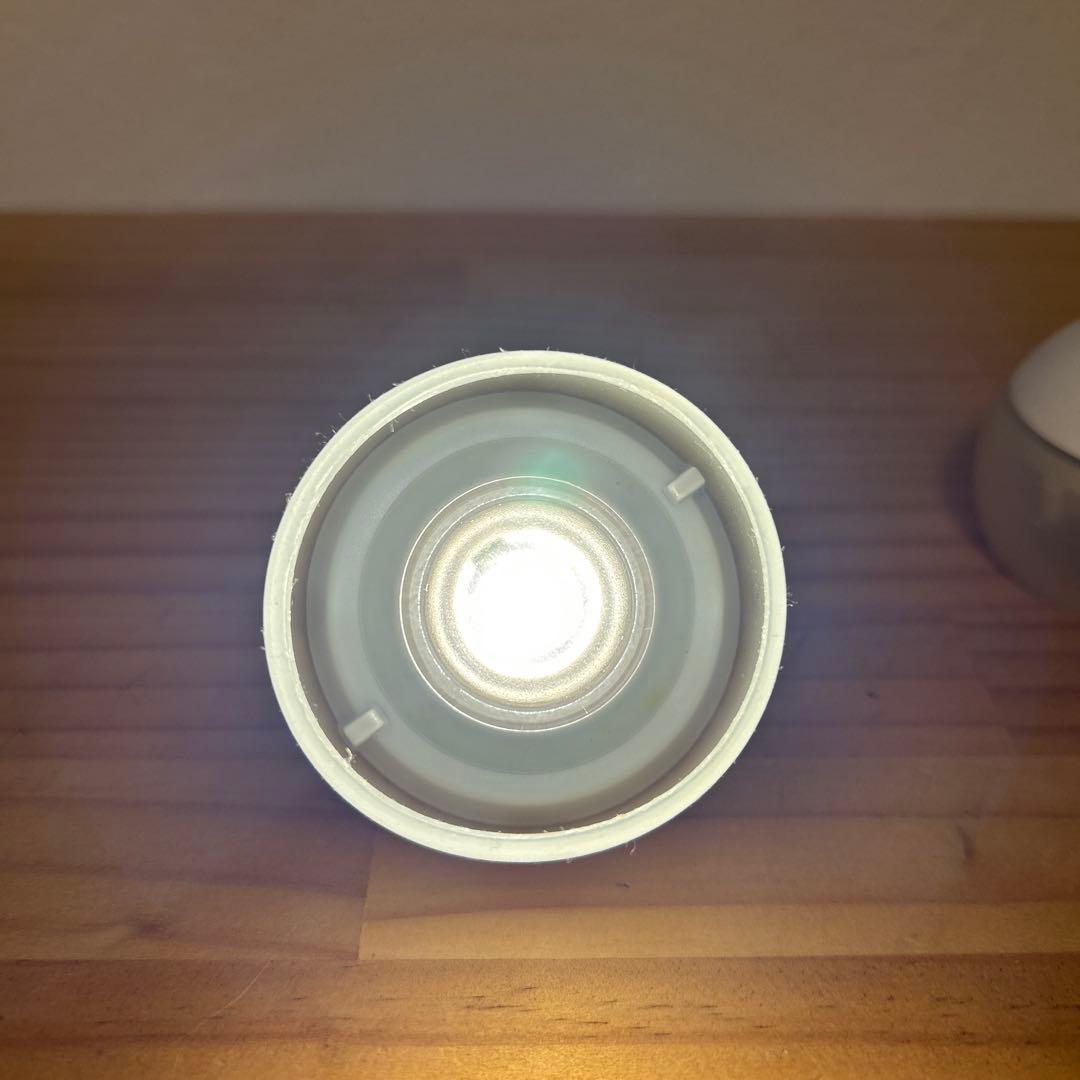 スノーピーク　たねほおずき　ゆき　3個