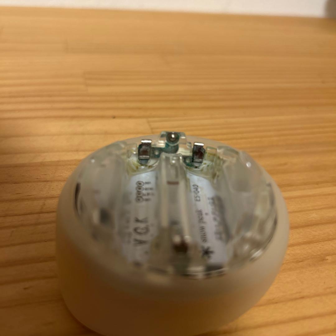 スノーピーク　たねほおずき　ゆき　3個