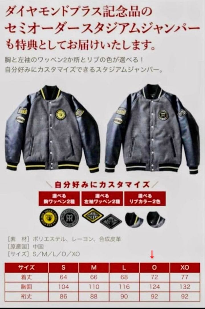 阪神タイガースダイヤモンドプラス ジャンパーL バックパック　優勝記念メダル他