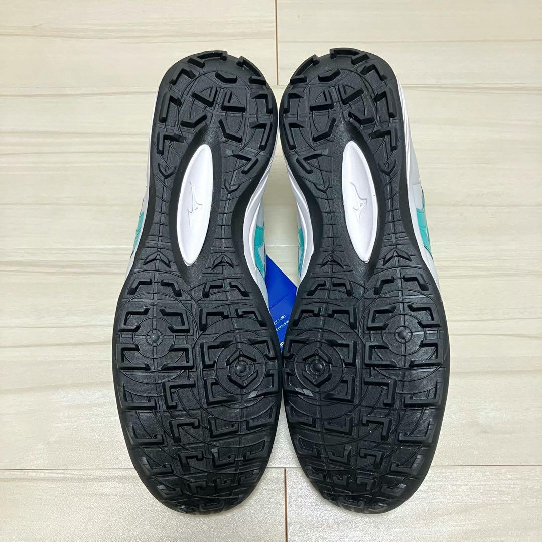 ペイントカスタム MIZUNO ミズノ モレリアtf 25.5cm サラ