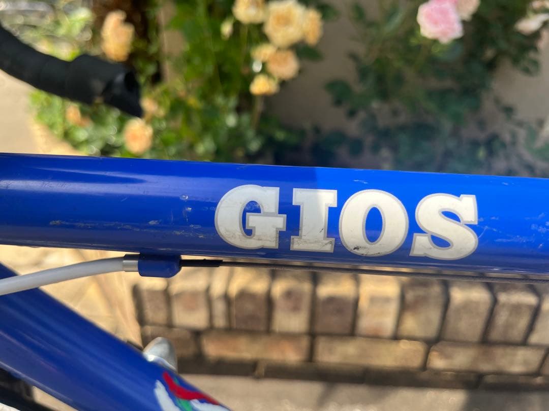 GIOS FENICE ロードバイク ブルー クロモリ