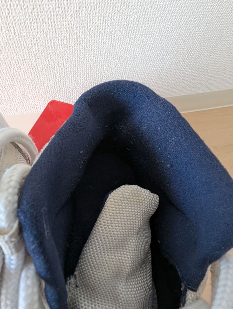 Air Jordan 11 コンコルド 27.0