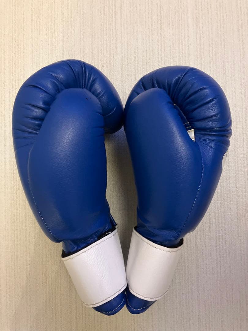 winning ウィニングボクシンググローブ ブルー 10オンス AM-10